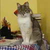 Отзыв от Пелагея Герасимова